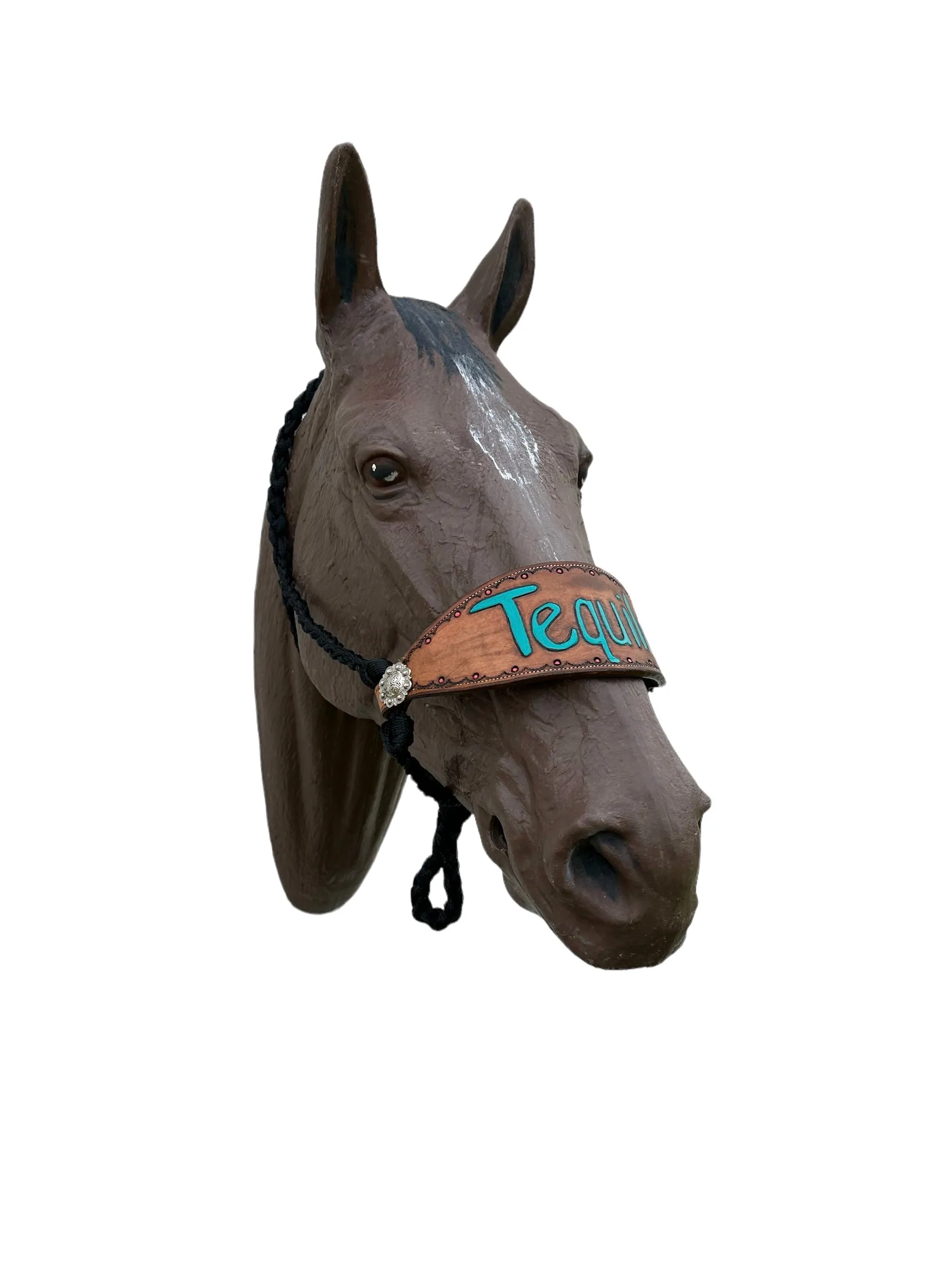 Black Braided mule tape horse halter with personalized noseband