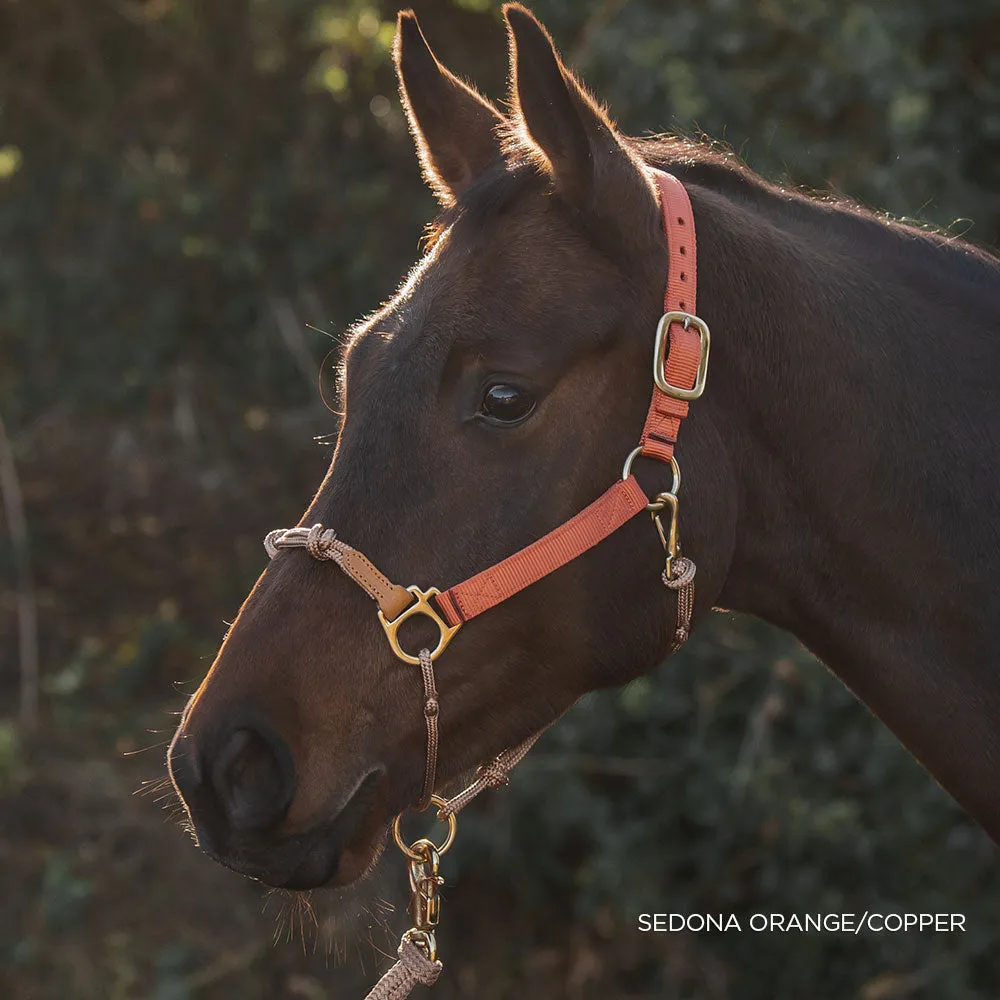 Classic Nylon Hybrid Halter®