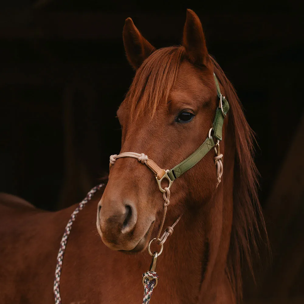 Classic Nylon Hybrid Halter®