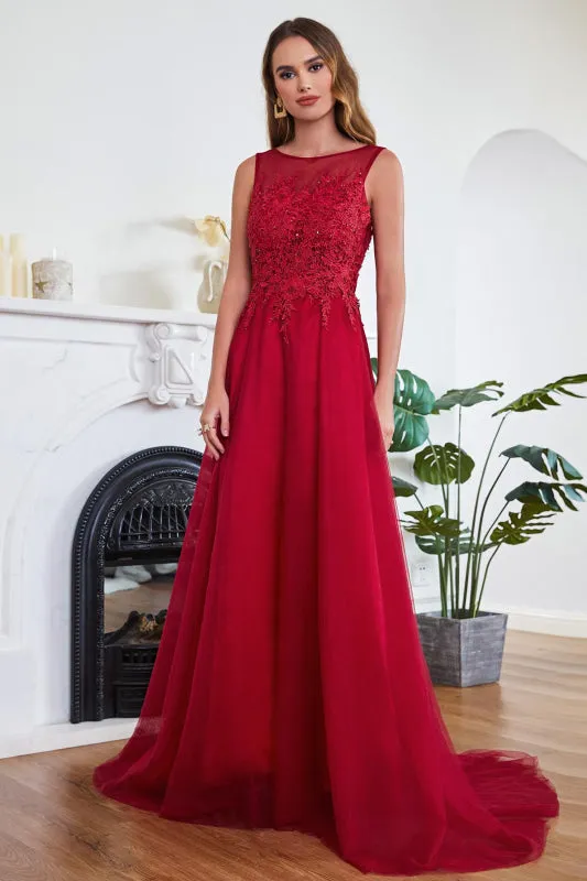 Elegant Tulle Lace Aline Evening Dress Sleeveles Beading Special Occasion Dress