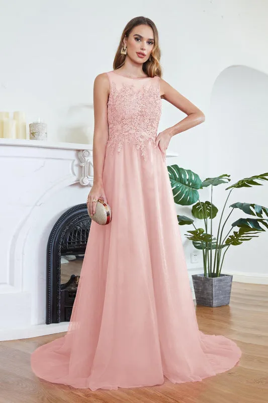 Elegant Tulle Lace Aline Evening Dress Sleeveles Beading Special Occasion Dress