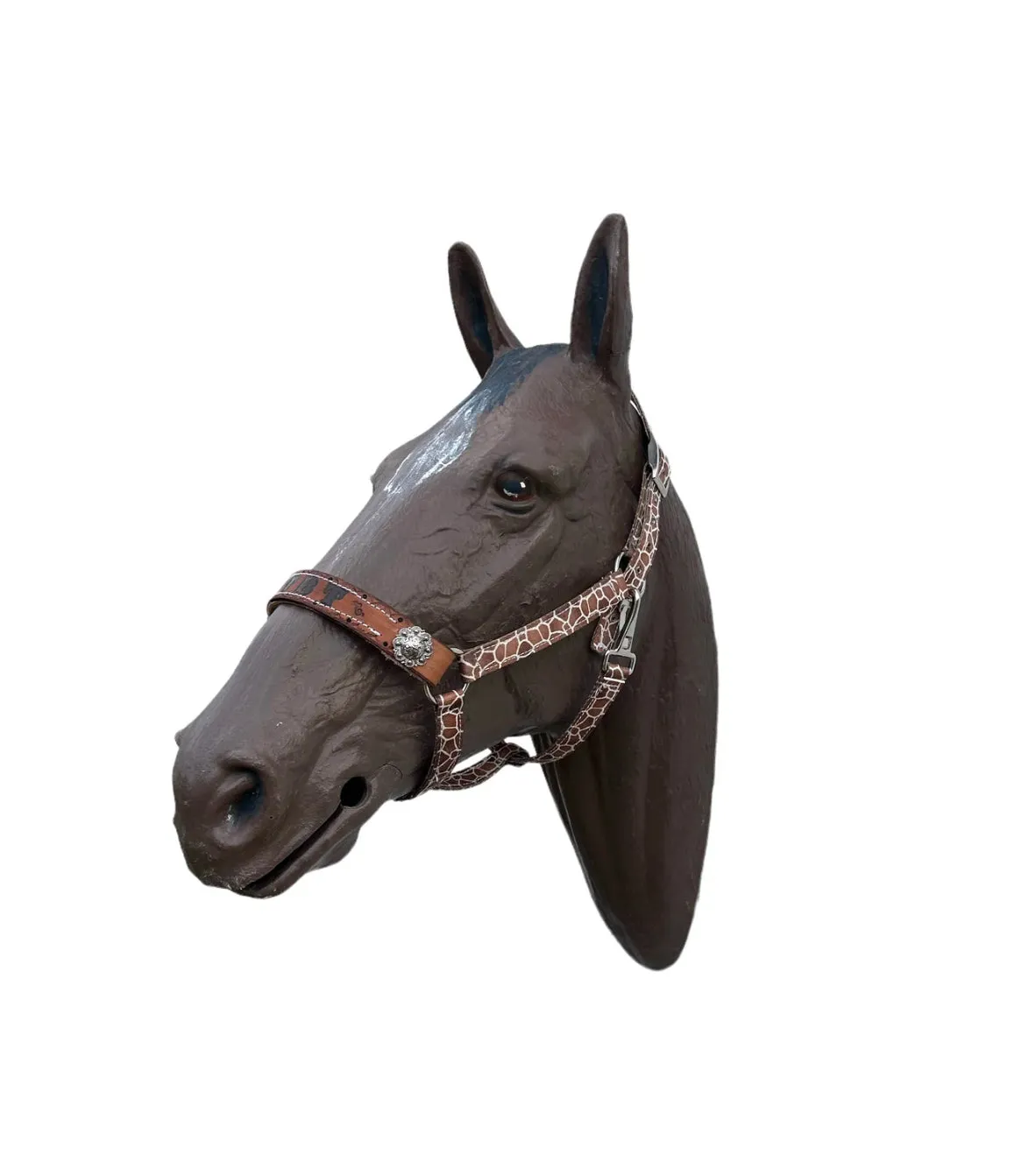 PERSONALIZED   nylon pony or miniature horse  halter many different patterns and colors!