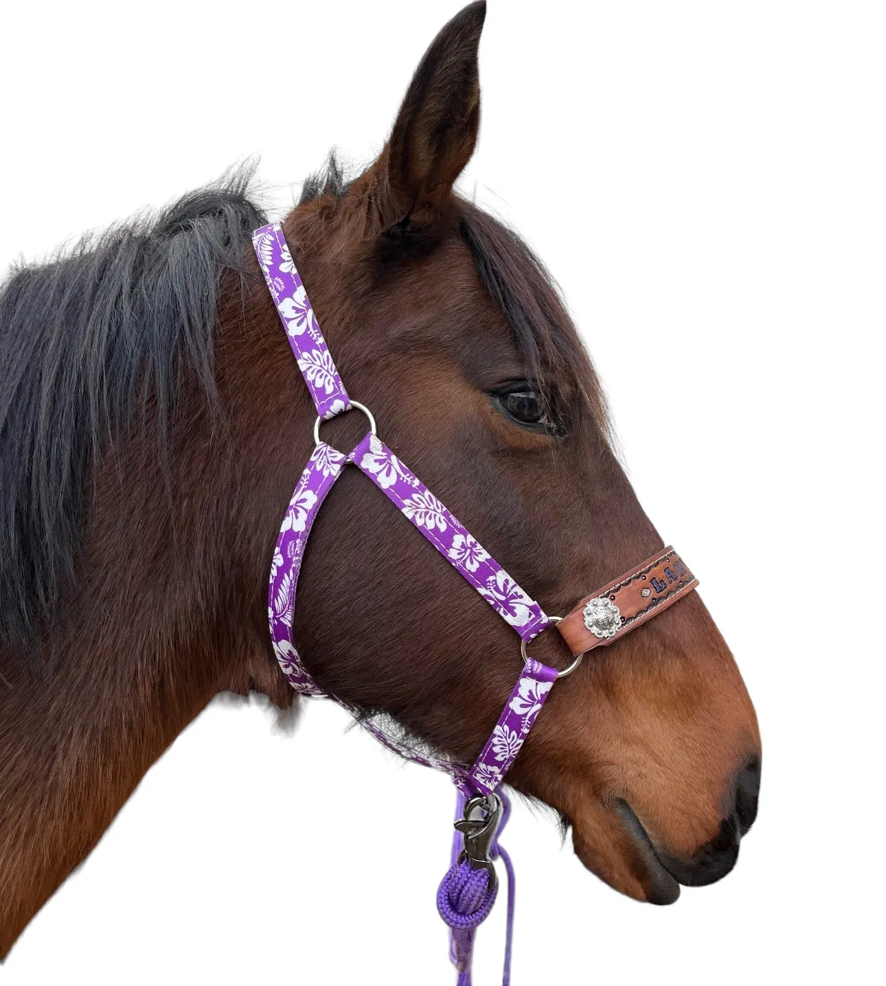 PERSONALIZED   nylon pony or miniature horse  halter many different patterns and colors!